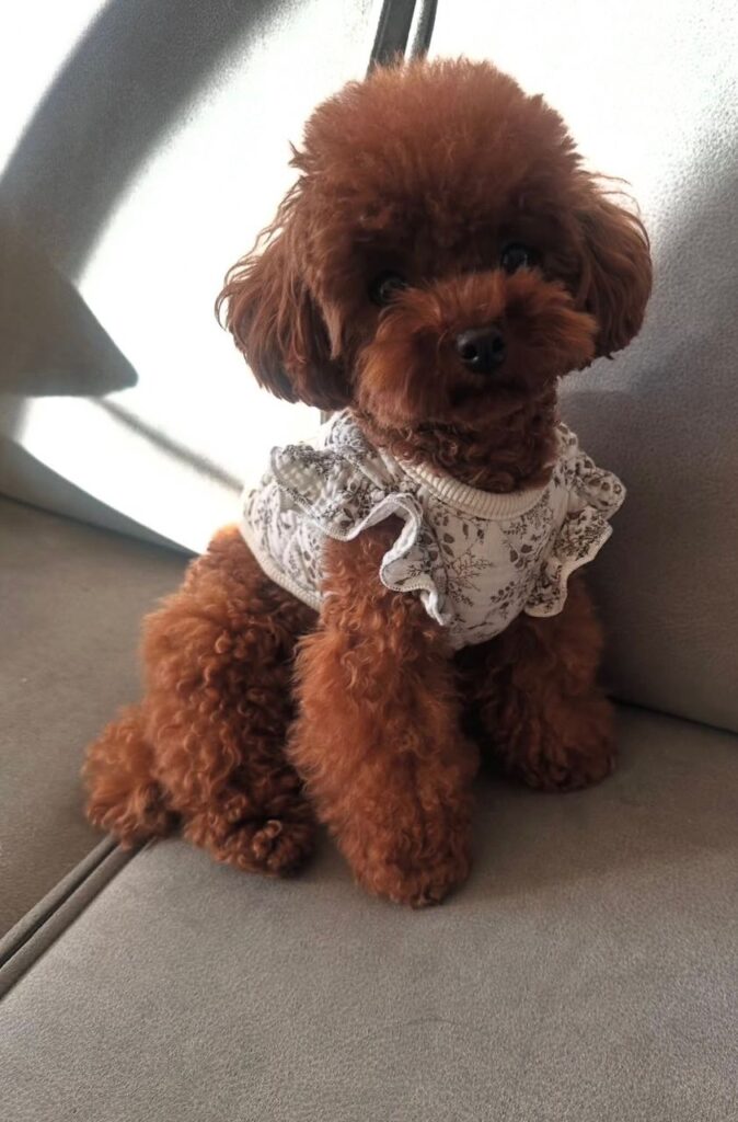 Available Rescue whatsapp image 2026 05 13 at 3.15.24 am
