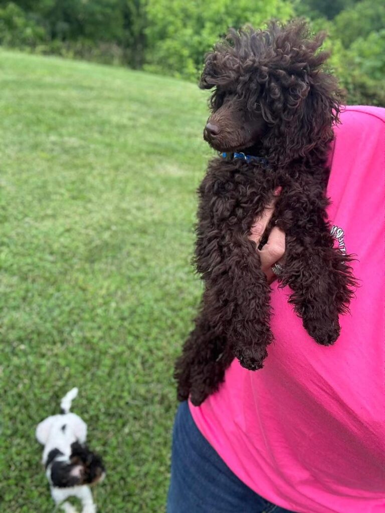 Available Rescue whatsapp image 2026 05 23 at 03.26.20