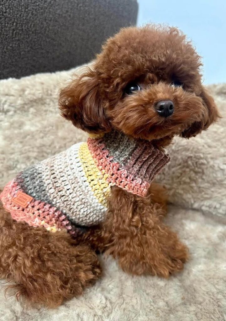 Available Rescue whatsapp image 2026 05 23 at 19.42.47 (1)